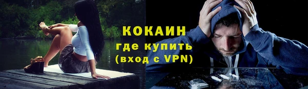 дживик Алексин