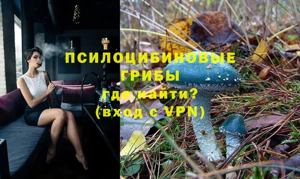 дживик Алексин