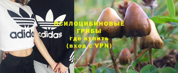 дживик Алексин